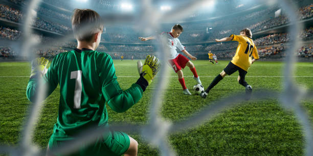 印度与其他 印度与其他