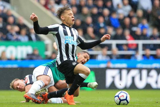 的情感纽带 的情感纽带