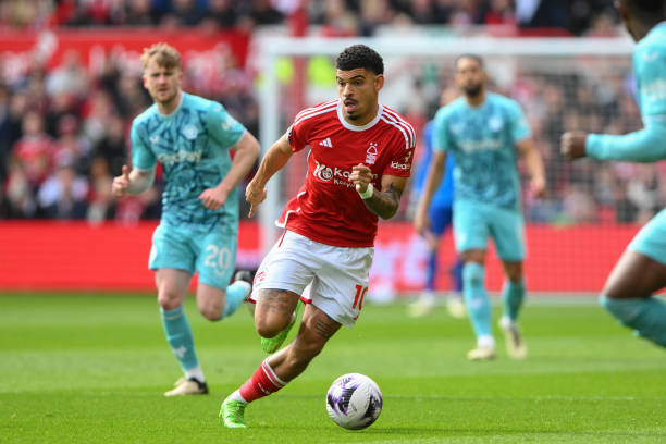 他虽然也有 他虽然也有