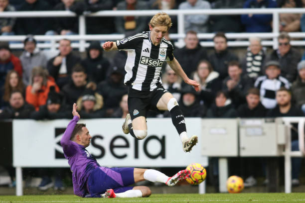 安切洛蒂之 安切洛蒂之